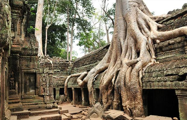 Angkor Catalina Boutique Villa Siem Reap Exterior photo